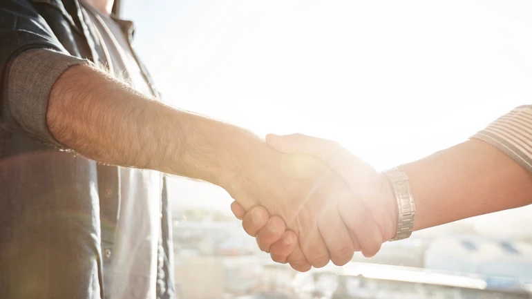 partners shake hands