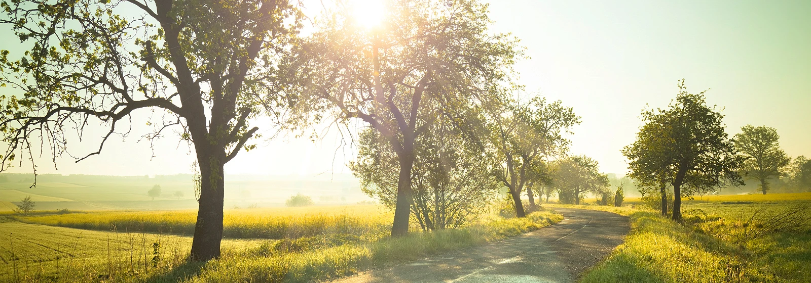 Energie en gaskeurlabels