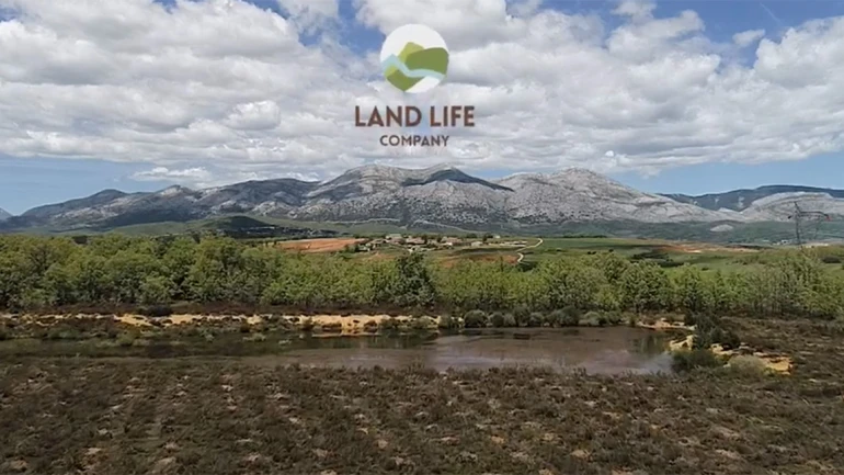Over Land Life Company, Life Terra en Staatsbosbeheer