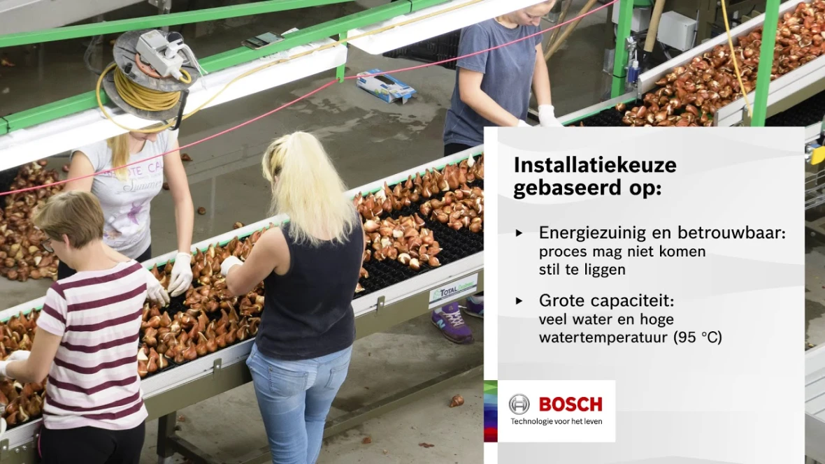 Referentieproject: Bosch Condens 7000F bij innovatieve tulpenkwekerij