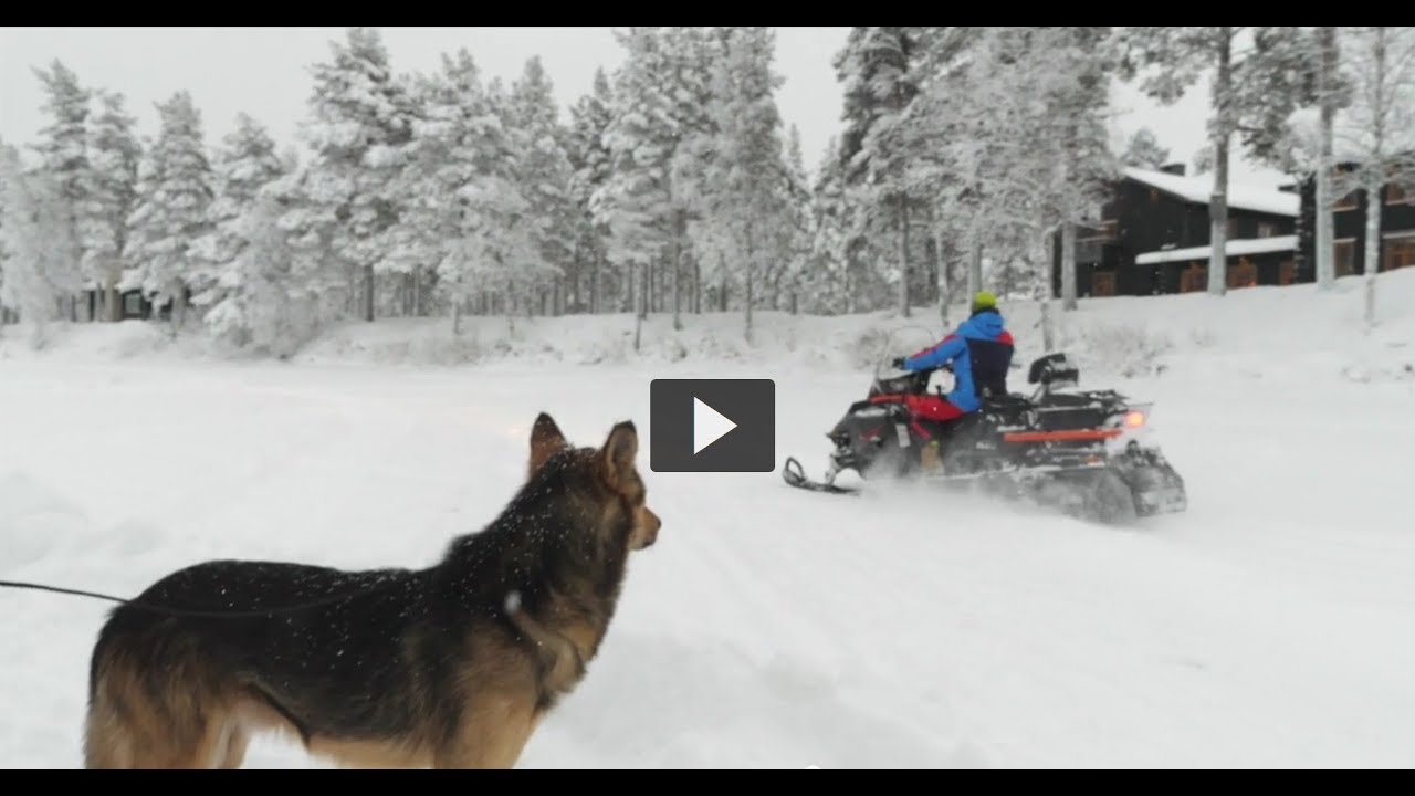 Arctic River Lodge - Bosch warmtepompen in de winterse kou